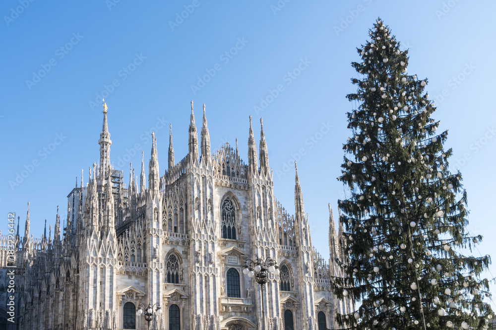 Christmas tree in front of Milan cathedral, Duomo square in a sunny day of december