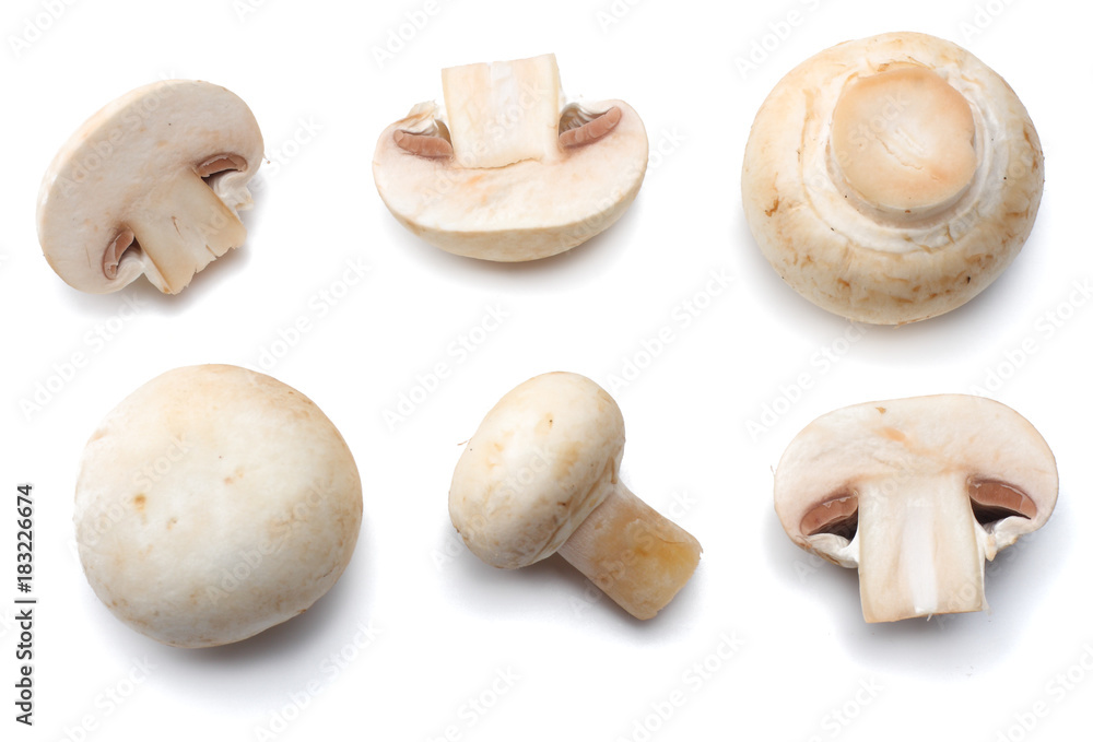 mushrooms isolated on white background. top view mushrooms isolated on white background. top view
