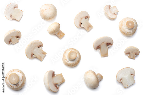 mushrooms isolated on white background. top view