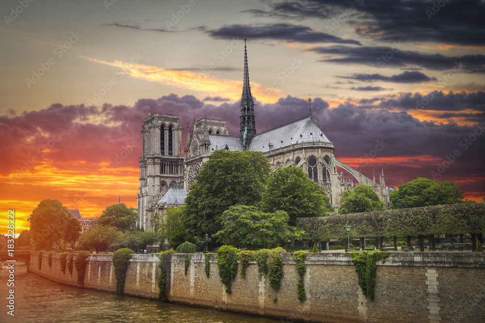 Fototapeta premium Notre Dame de Paris