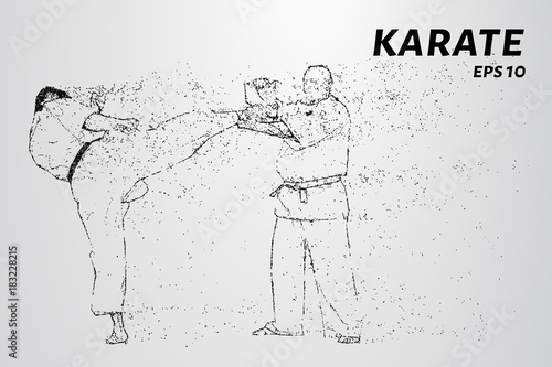 Karate of particles. Karate consists of small circles