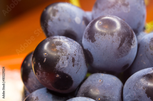 Berry blue wine grapes on a red saucer