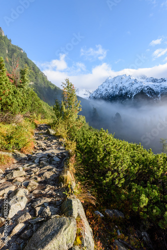 mountain tops in  autumn covered in mist or clouds in sunny day