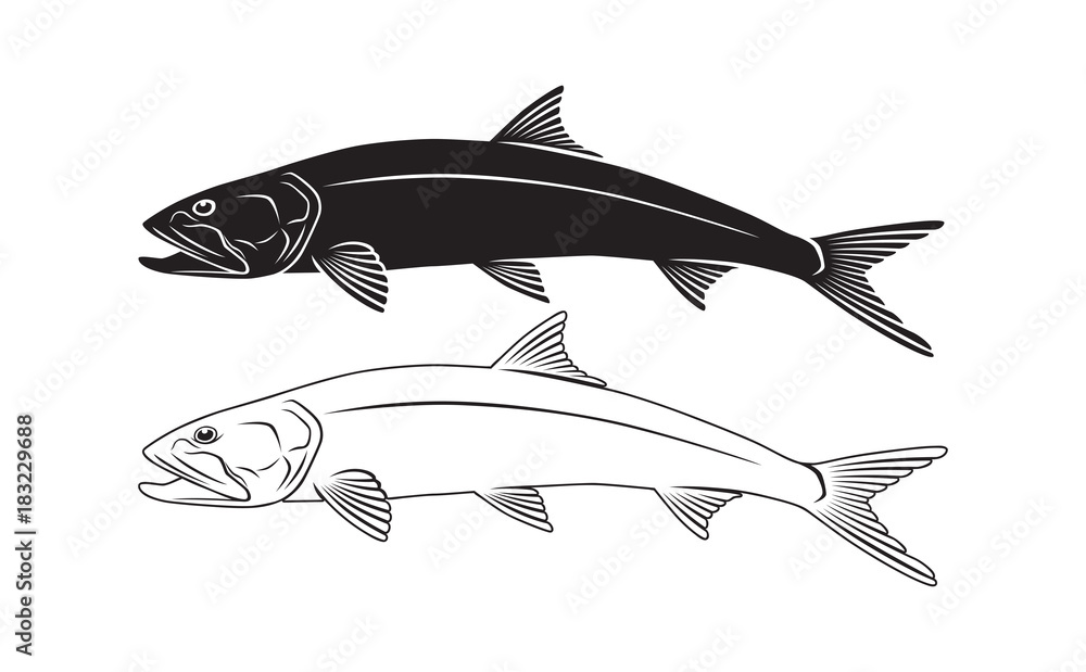 ladyfish and giant herring ladyfish and giant herring