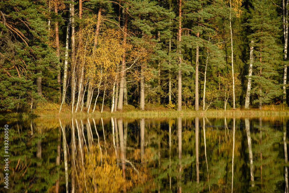 lake with water reflections in colorful autumn day