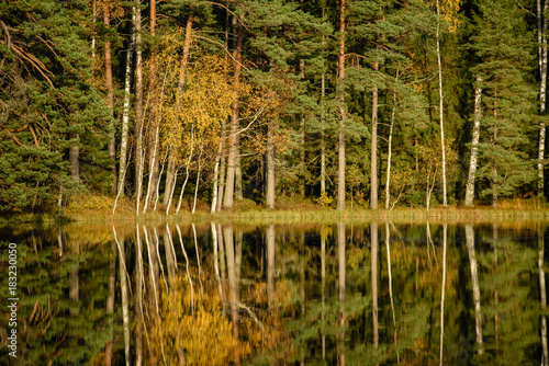 lake with water reflections in colorful autumn day