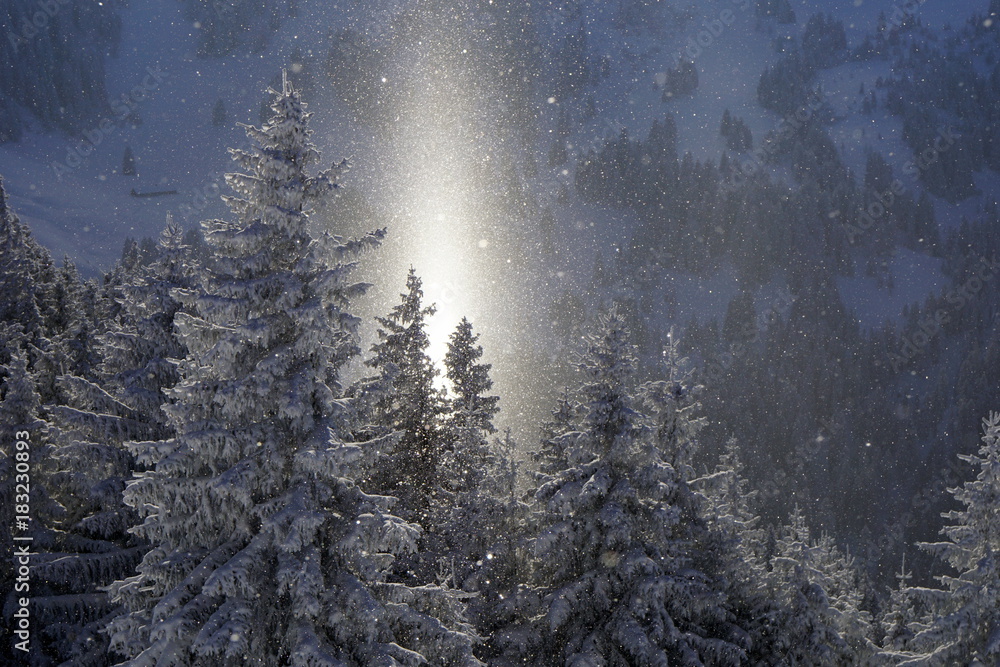 Winterwald mit Lichtstrah, Sonnenstrahl vom HImmel