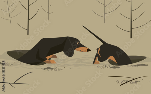 Dachshund in the hole