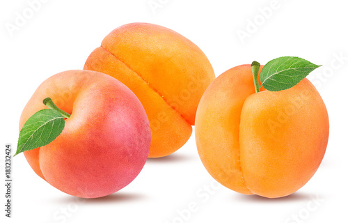 Three fresh apricots isolated on white background with clipping path