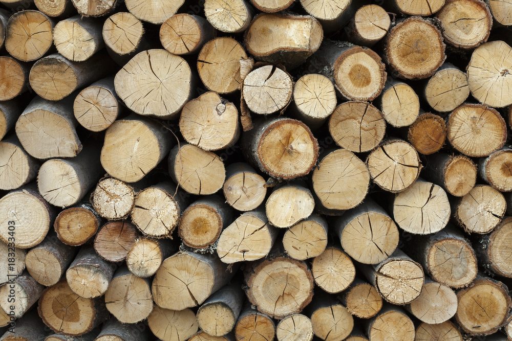 Sawed tree trunks and branches in different sizes, piled up in blue container Wood storage Timber industry Sawed tree trunks and branches in different sizes, piled up in blue container Wood storage Timber industry