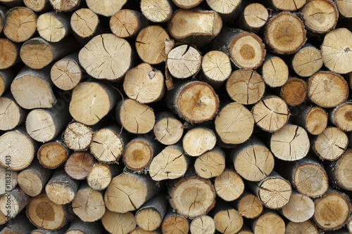 Sawed tree trunks and branches in different sizes  piled up in blue container Wood storage Timber industry