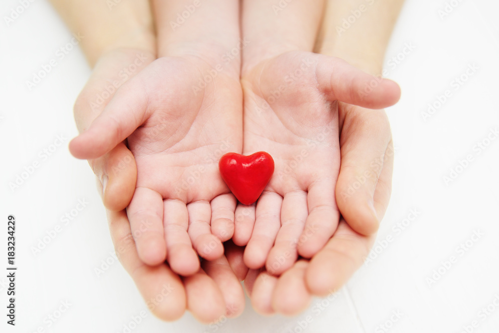 adults and children's hands hold a small red heart. Family, love, parents, children, care, tenderness adults and children's hands hold a small red heart. Family, love, parents, children, care, tenderness