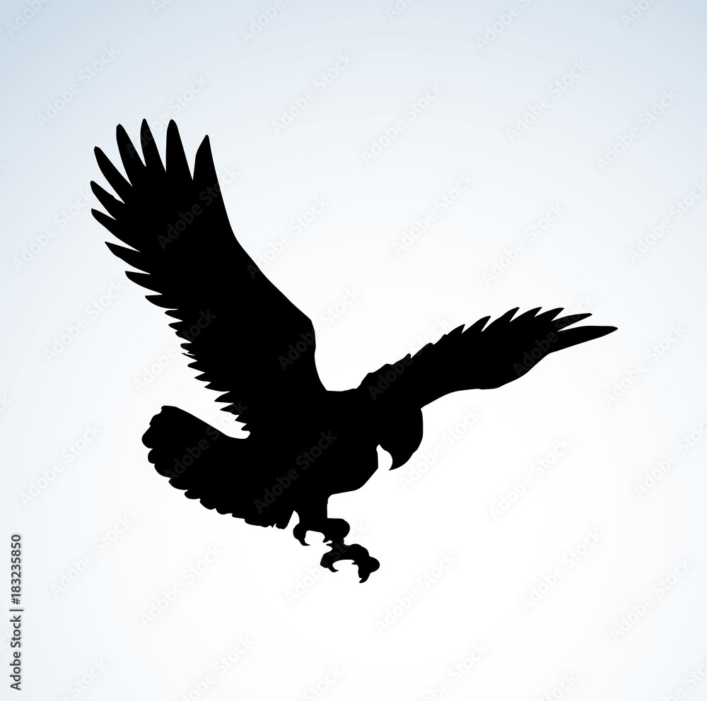 Eagle. Vector drawing Eagle. Vector drawing