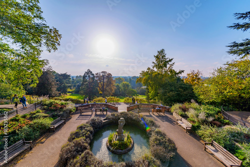 Scenery of Richmond park photo