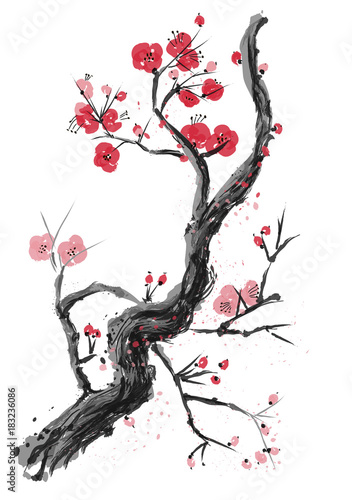 Realistic Sakura Blossom - Japanese Cherry Tree. Artistic Branch Plum Asian. Vector