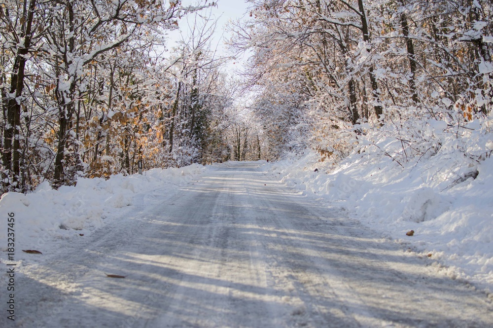 Obraz premium Strada di Montagna Innevata