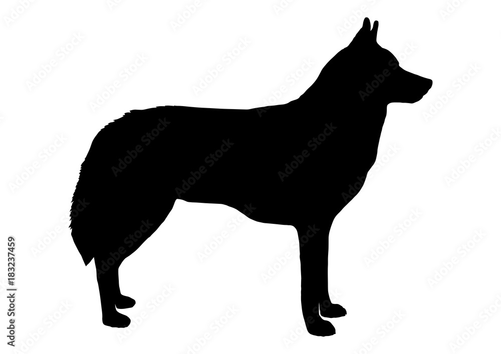 Wolf Silhouette Wolf Silhouette
