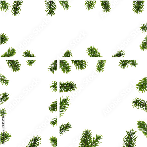 Winter backgrounds with fir branches.