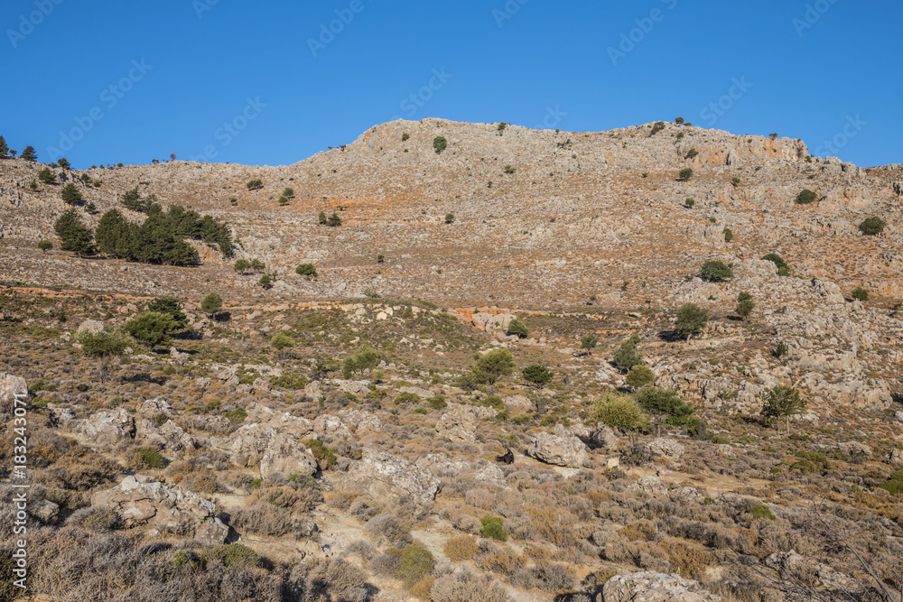 Stony landscape of Tsambika mountain, it is overgrown with wood. Rhodes Island, Greece.