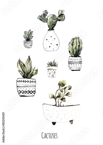 Watercolor cactuses. Cacti flower background. Modern rustic home art card for print design. Grunge succulent set. Trendy illustration with house plans in pot