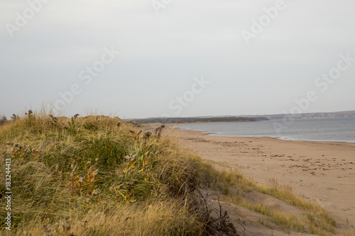 Empty dunes on coast of Prince Edwards Island