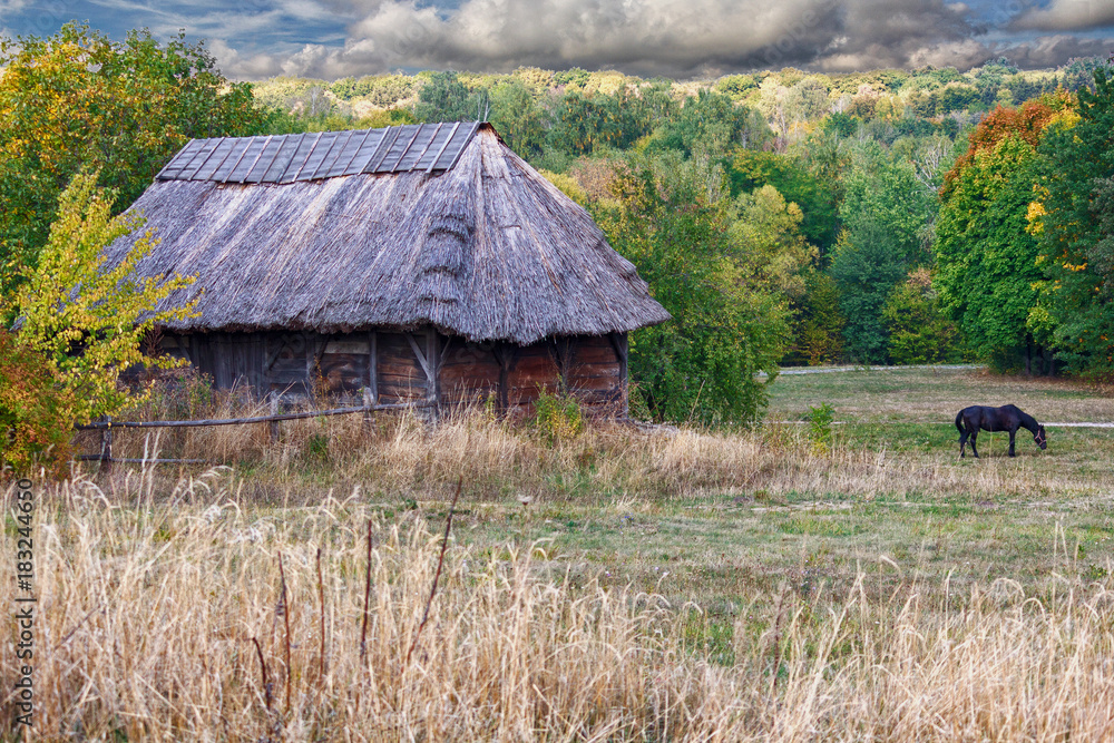Horse grazes on background of the old house Ukrainian peasant. Animals