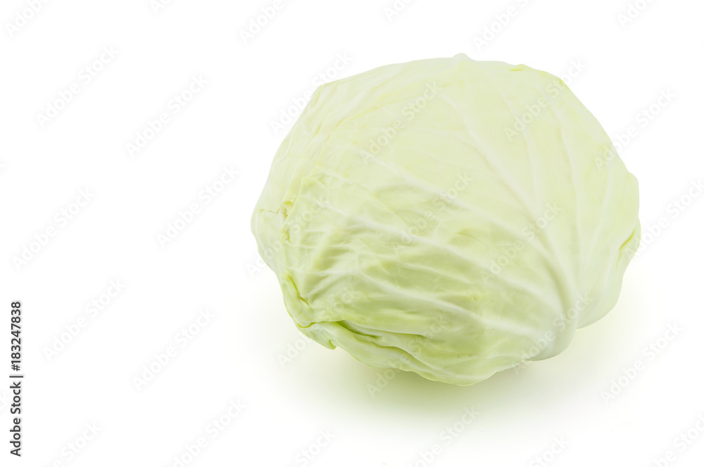 cabbage on white background cabbage on white background