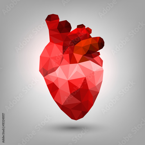 Polygonal human heart