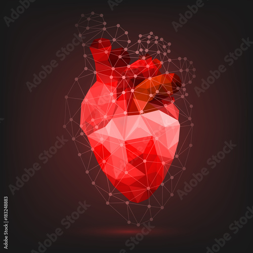 Polygonal human heart