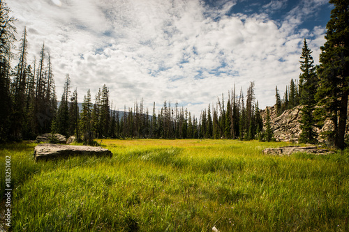 Photography Uintas Meadow