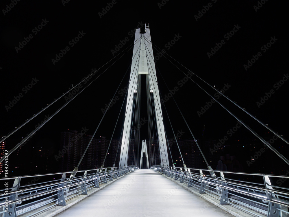 Fototapeta premium Cable-stayed pedestrian bridge