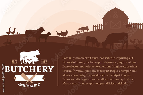 Vector butcher shop illustration