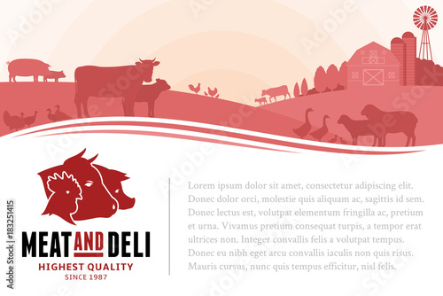 Vector butcher shop illustration