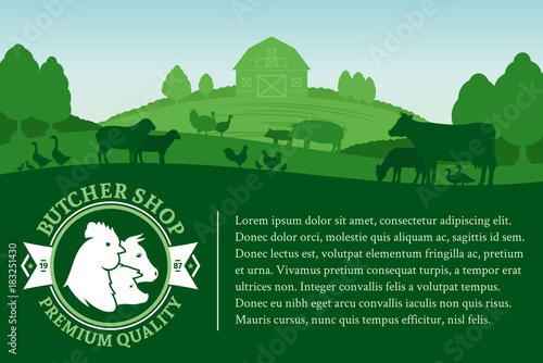 Vector butcher shop illustration