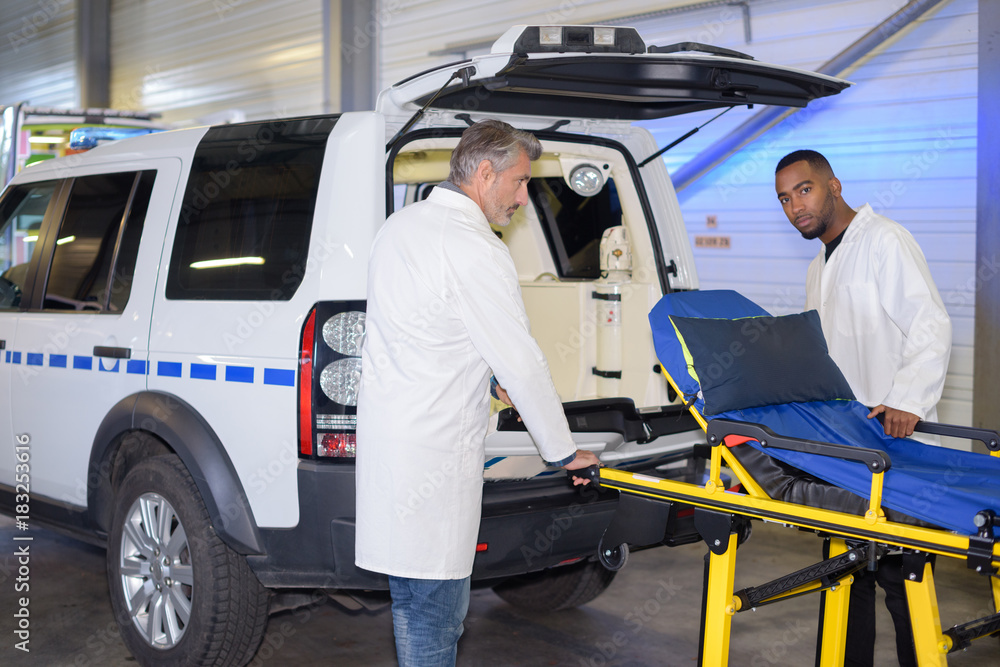 Fototapeta premium the two paramedics team