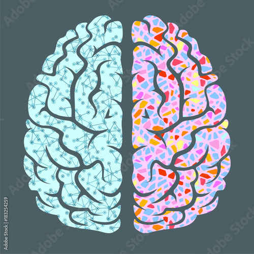 The human brain, the right and left hemispheres