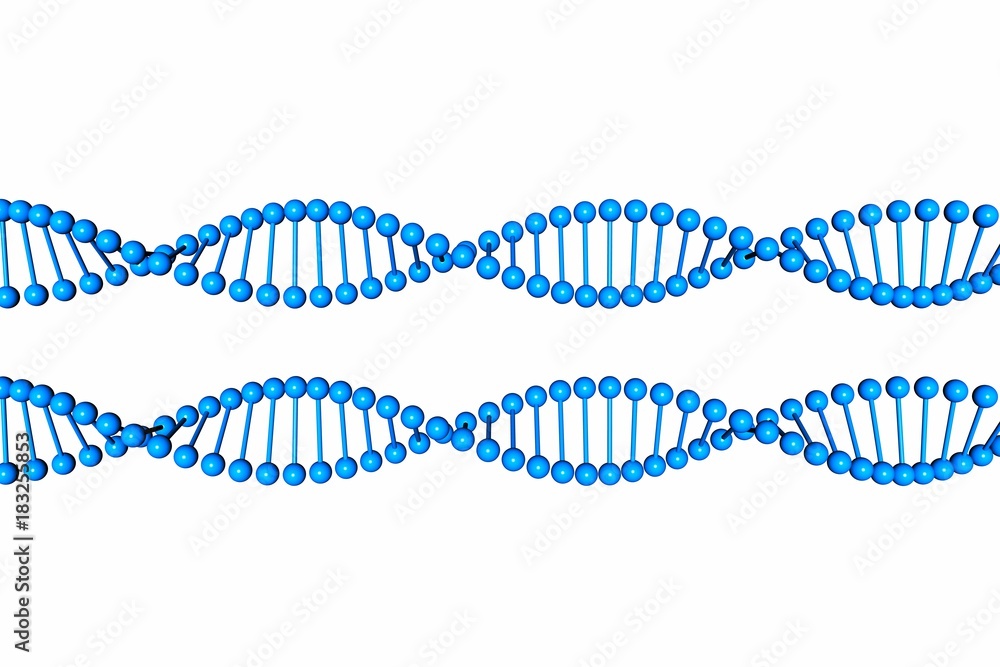 DNA Molecule isolated on white background