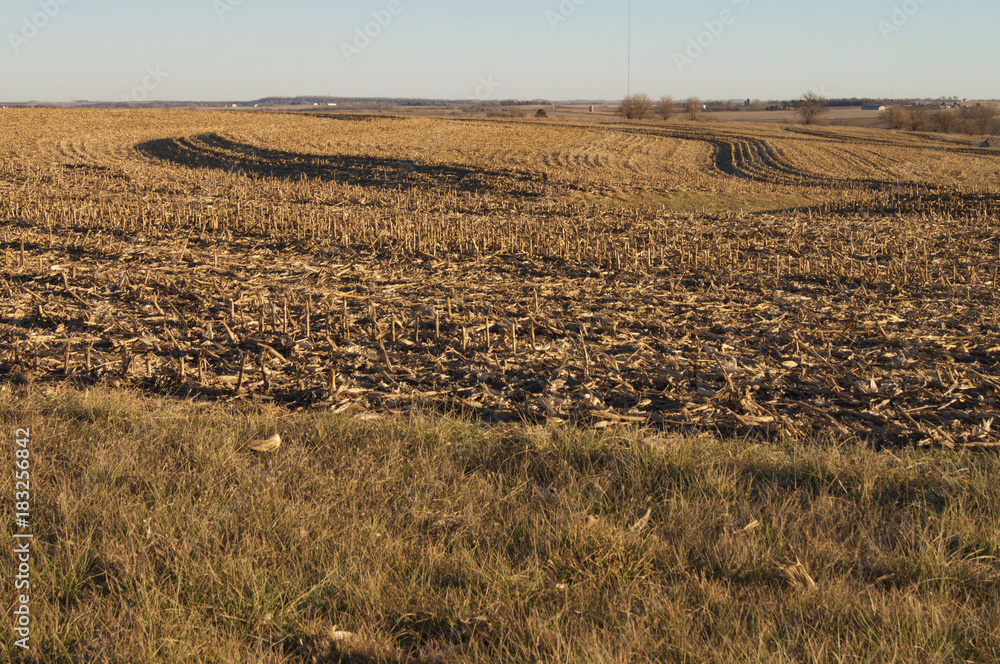 Corn Rows Harvested