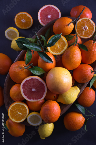 Citrus orange world