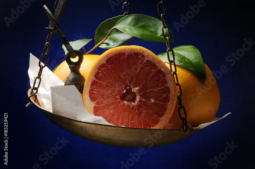 Citrus paradisi Toranja Greippi Pompelmo Թուրինջ Grepfrut Grapefruit زنباع Грейпфрут 葡萄柚 Grejpfrut אשכולית 