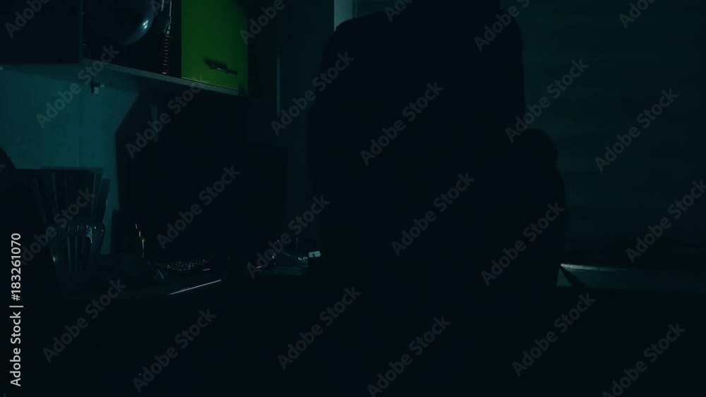 thief in a house silhouette at night steals a laptop indoor and things thief in a house silhouette at night steals a laptop indoor and things
