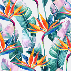 Fototapete Tropische Paradiesblumen-Muster Aquarell Strelitzia Paradiesvogelblume Muster  © Tanya Syrytsyna