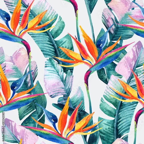 Tapety Akwarela tropikalny wzór z kwiatem rajskiego ptaka.