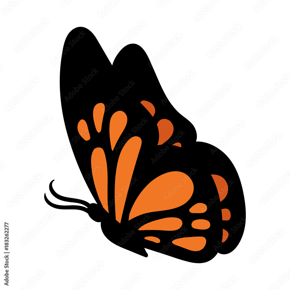 Cartoon Butterfly Vector Illustration Stock Vector | Adobe Stock