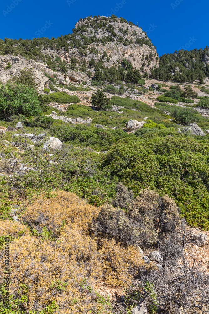 Stony landscape of the Tsambika mountain on the Rhodes Island, Greece Stony landscape of the Tsambika mountain on the Rhodes Island, Greece