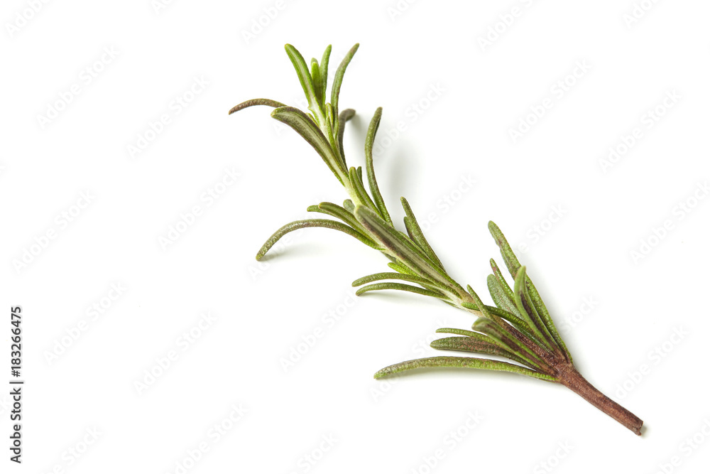 Fototapeta premium Rosemary isolated on white background, Top view