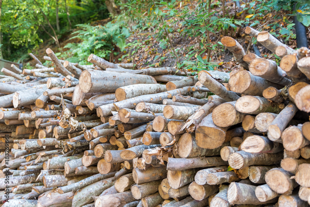 Heap of wood logs ready for winter Heap of wood logs ready for winter