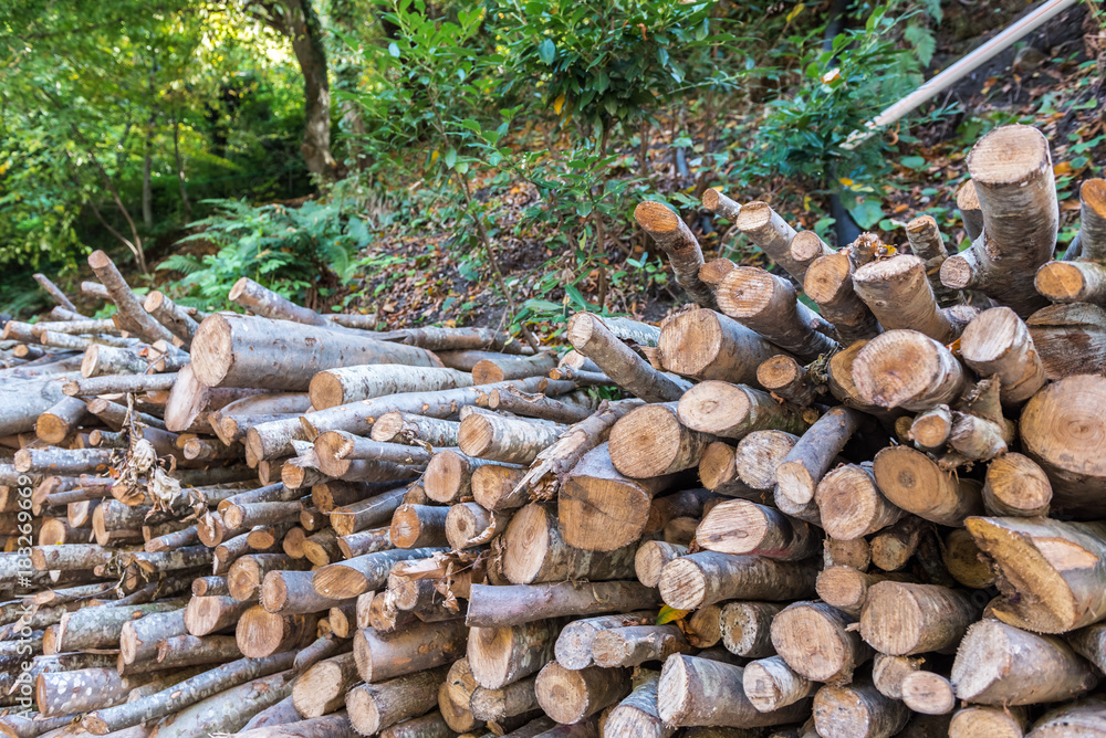 Heap of wood logs ready for winter Heap of wood logs ready for winter