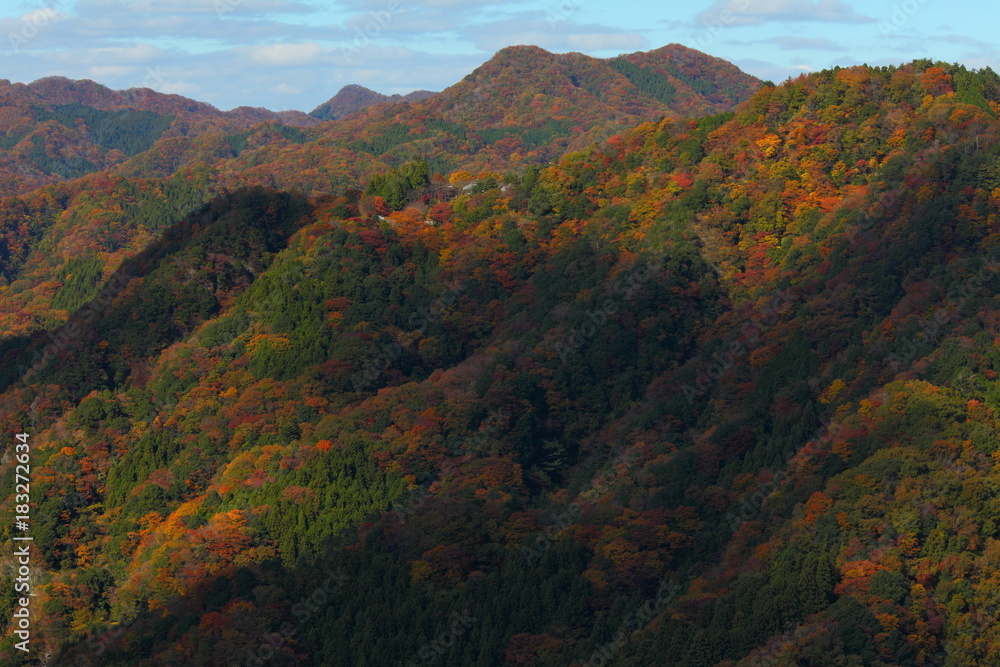 Autumn in Ibaraki Prefecture, Japan Autumn in Ibaraki Prefecture, Japan