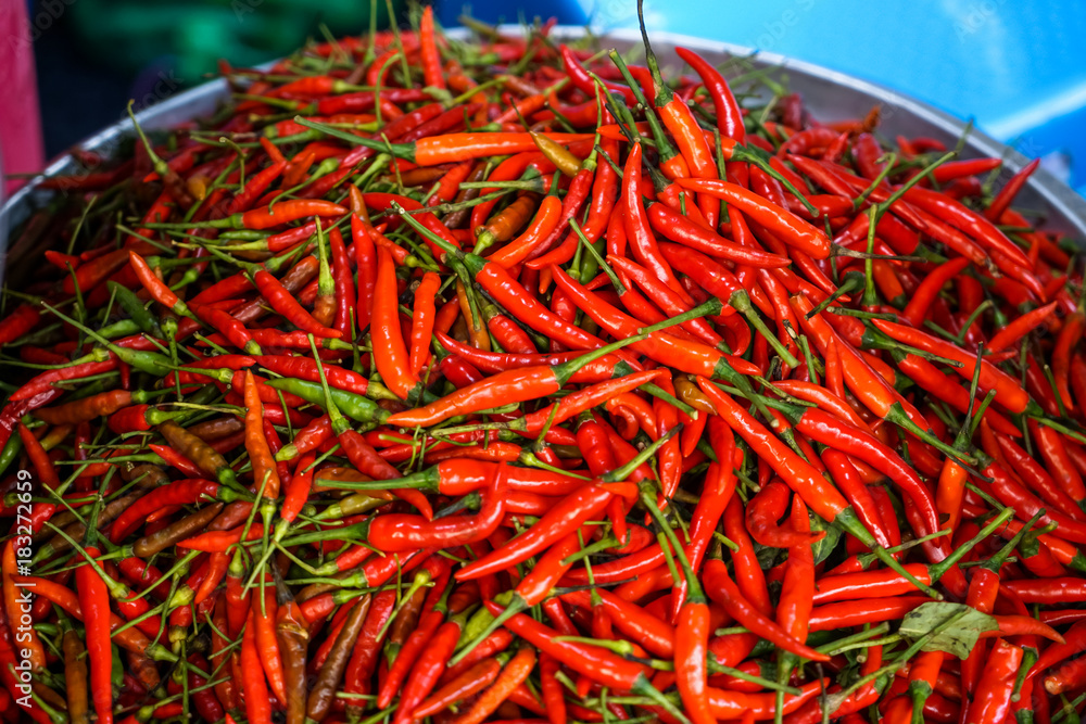 Pile of fresh organic vibrant red hot chillies on metal tray background with copy space selling in local market for spicy food ingredient
